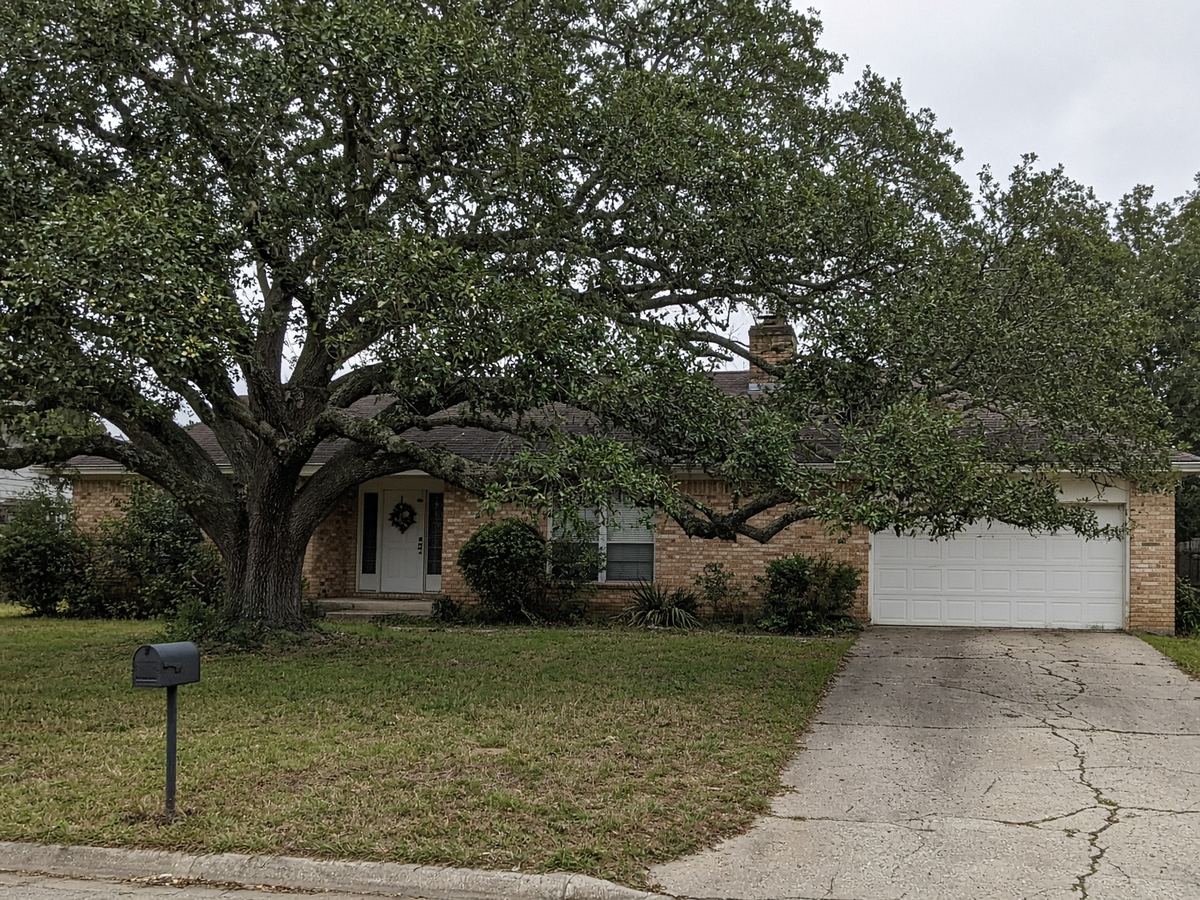 Live oak canopy raise before — limbs on the roof and driveway in Smithfield